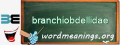 WordMeaning blackboard for branchiobdellidae